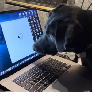 2026 Posit Internships